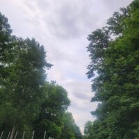 Петербург